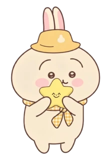 Usagi